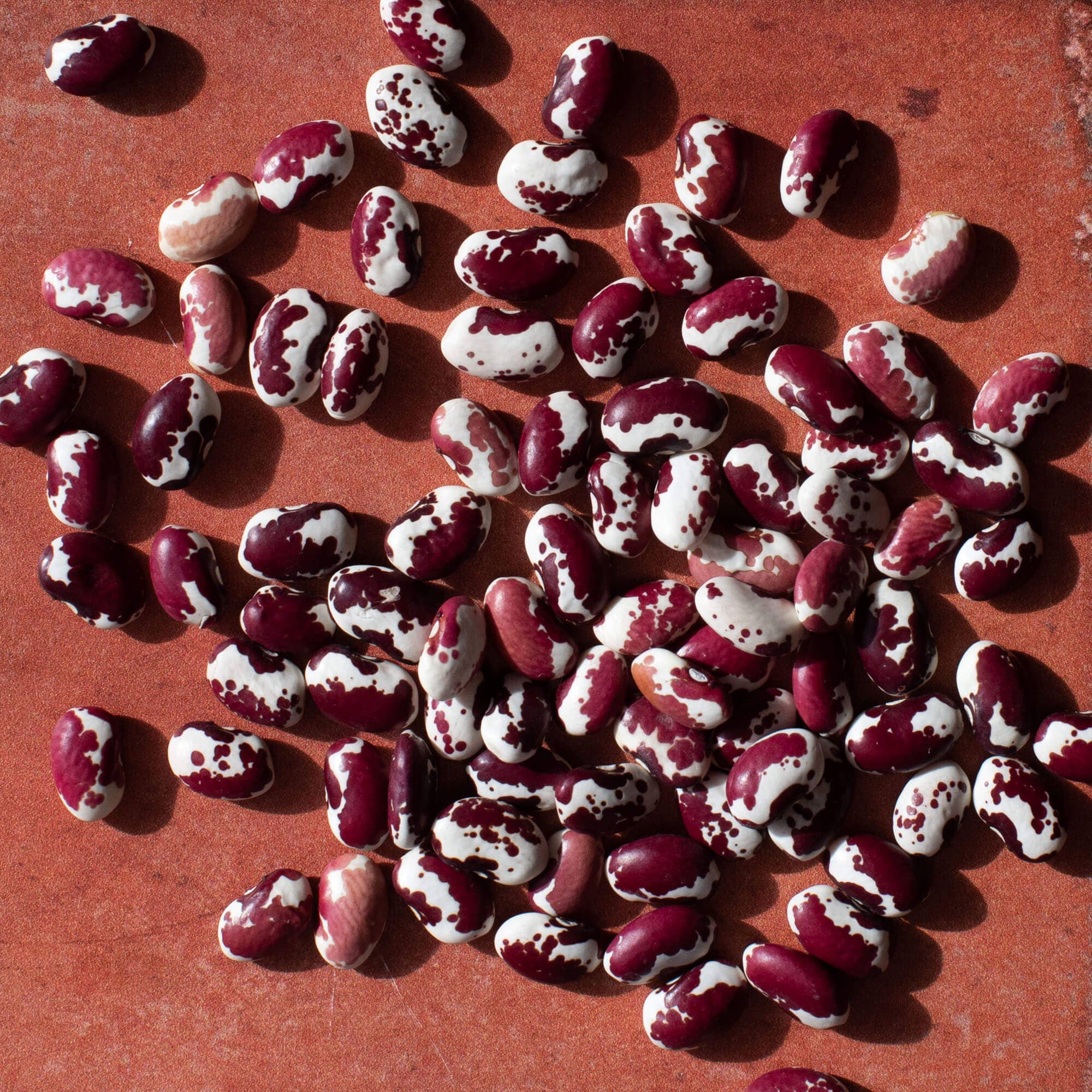 Southwest Red Beans (Organic)