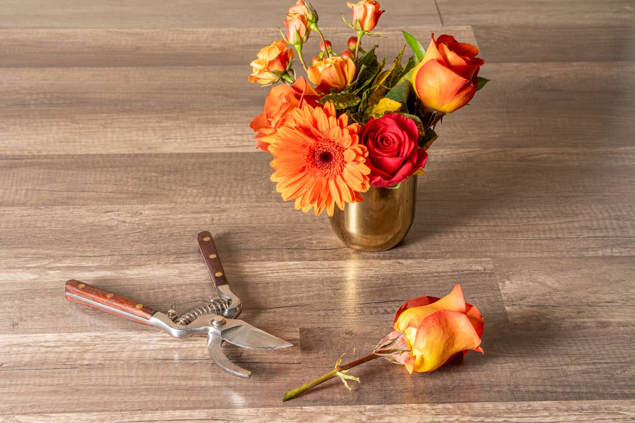 Thai Kitchen & Garden Shears