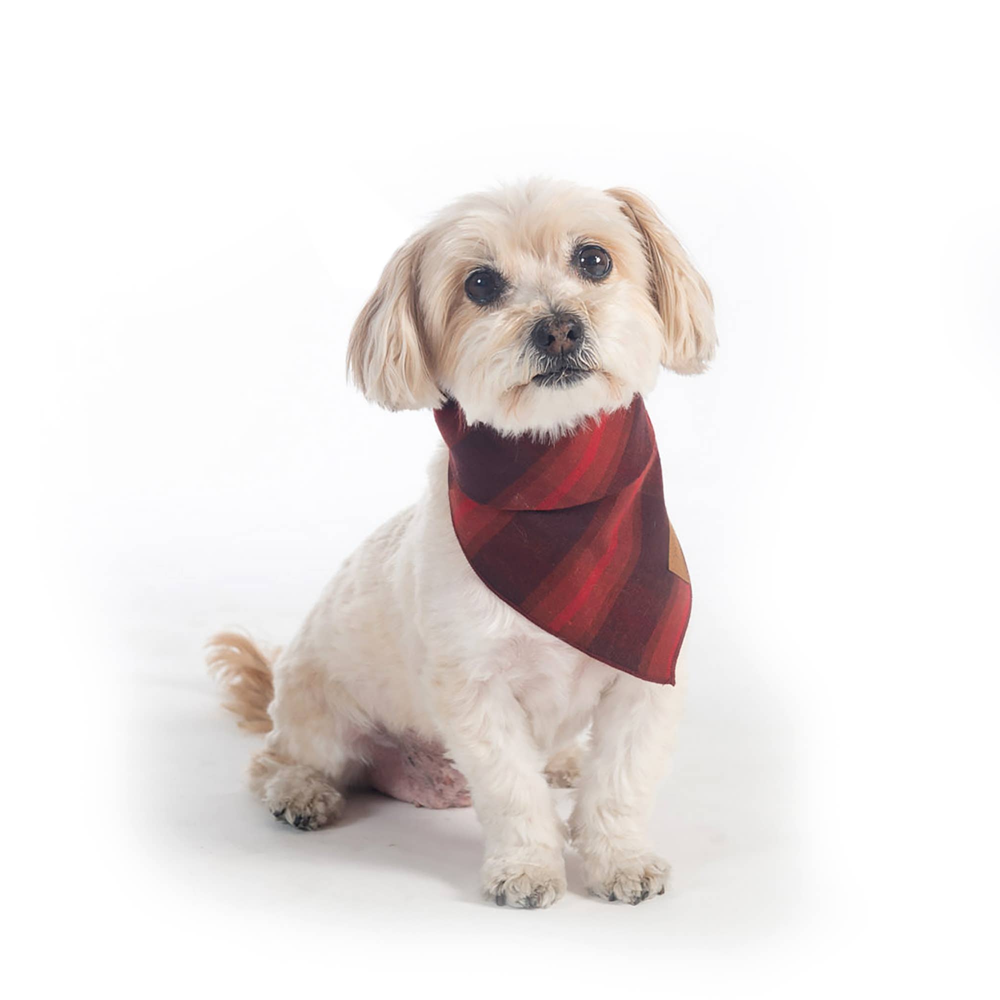 Plaid Dog Bandana