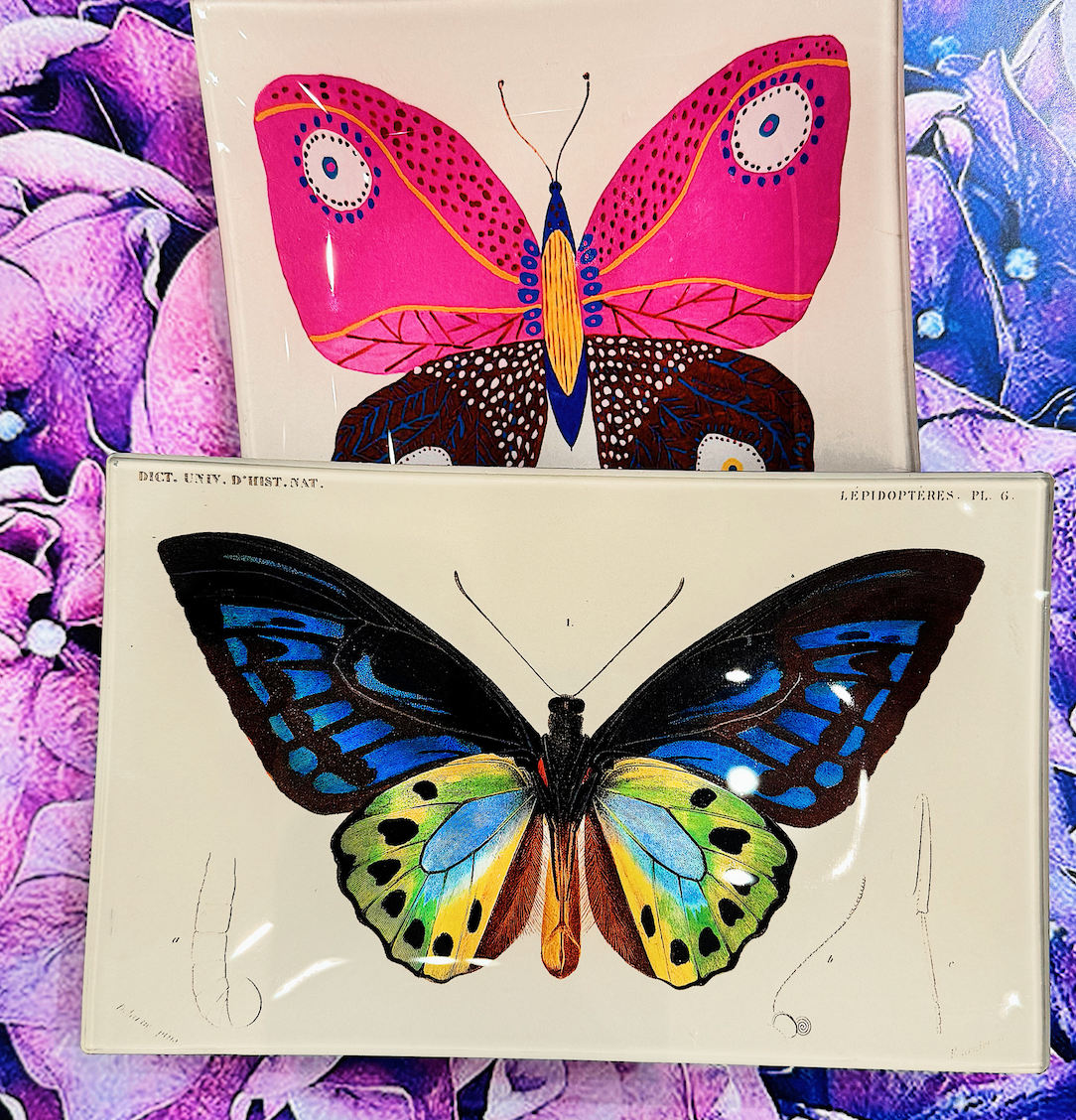 Ben's Garden - Tropical Butterfly No. 6 Decoupage Glass Tray: 4"X 6"