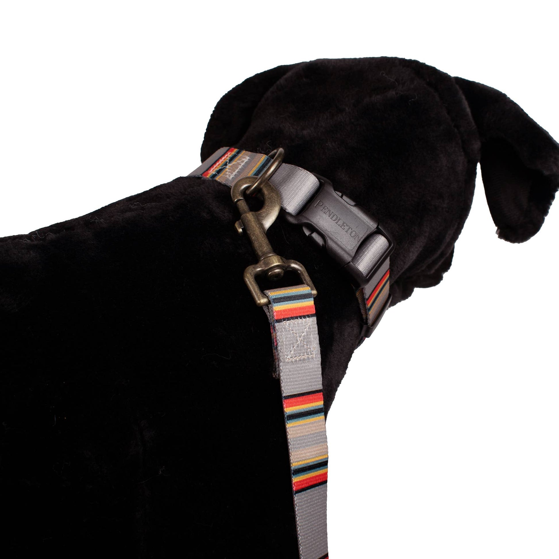 Vintage Convertible Adventure Dog Leash