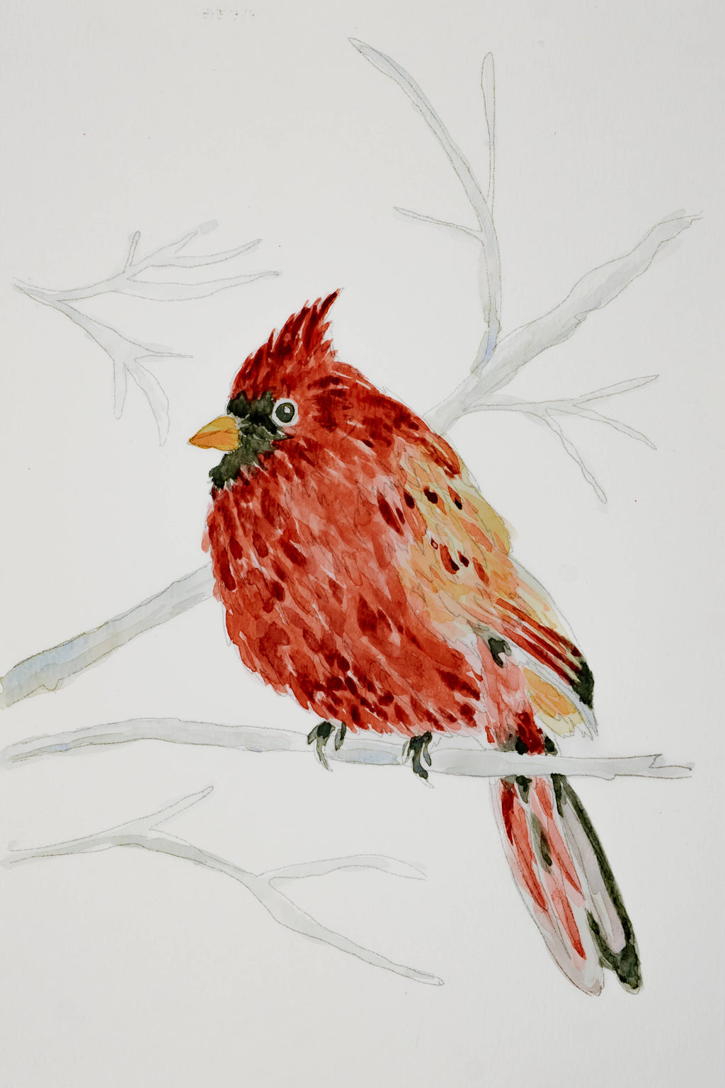 A watercolor painting of a cardinal perched on a bare branch, rendered in warm red, orange, and yellow tones against a white background.