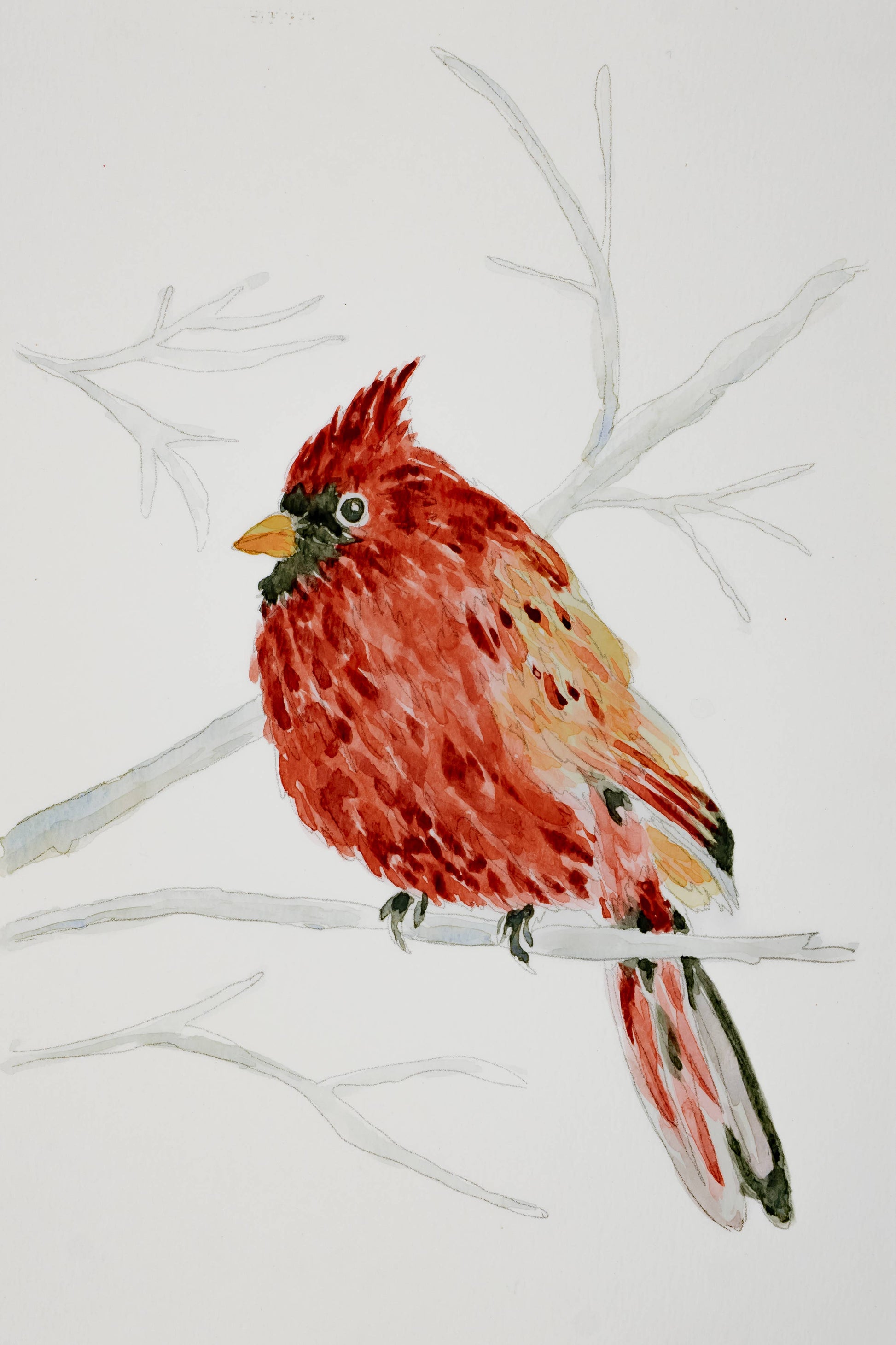 A watercolor painting of a cardinal perched on a bare branch, rendered in warm red, orange, and yellow tones against a white background.