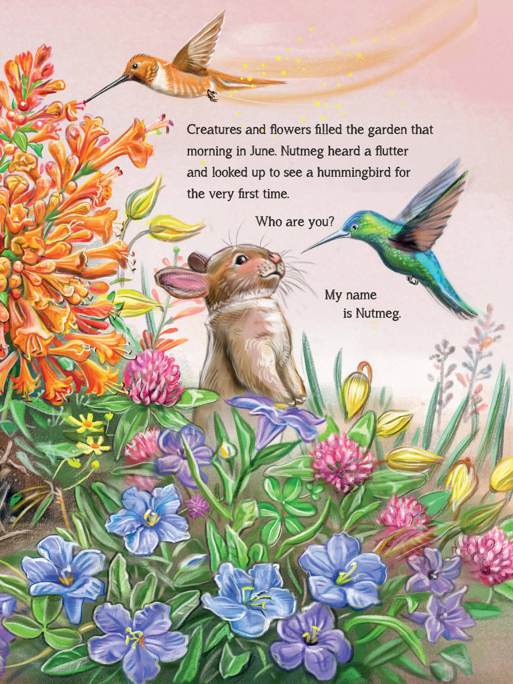 Meet the Pollinators: A Night and Day Adventure