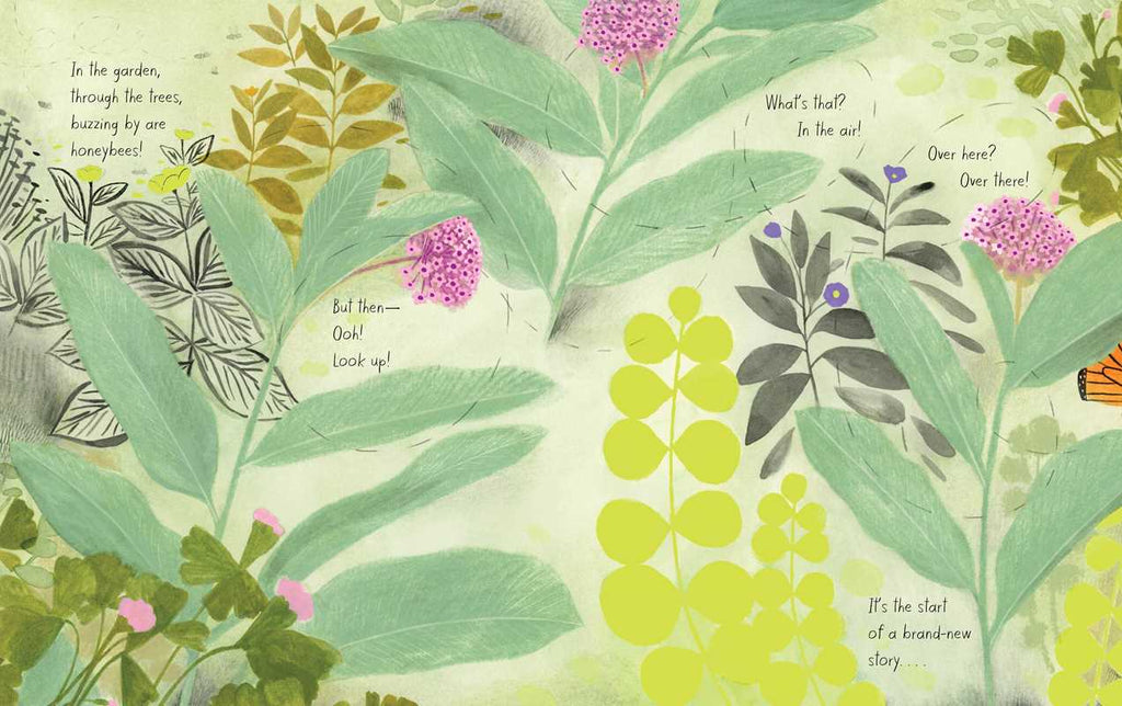 Monarch by Kirsten Hall: Hardcover; 48 pages / English