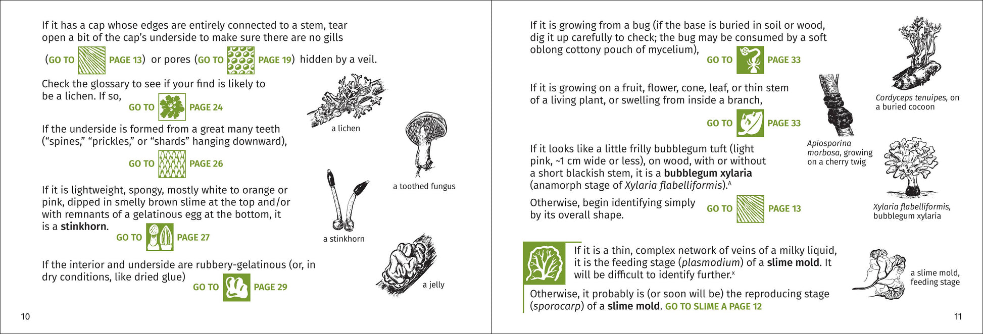Mushroom Finder