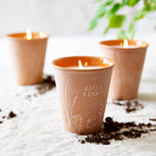 Tomato Vine Garden Pot Candle + Plantable Seed Dust Cover