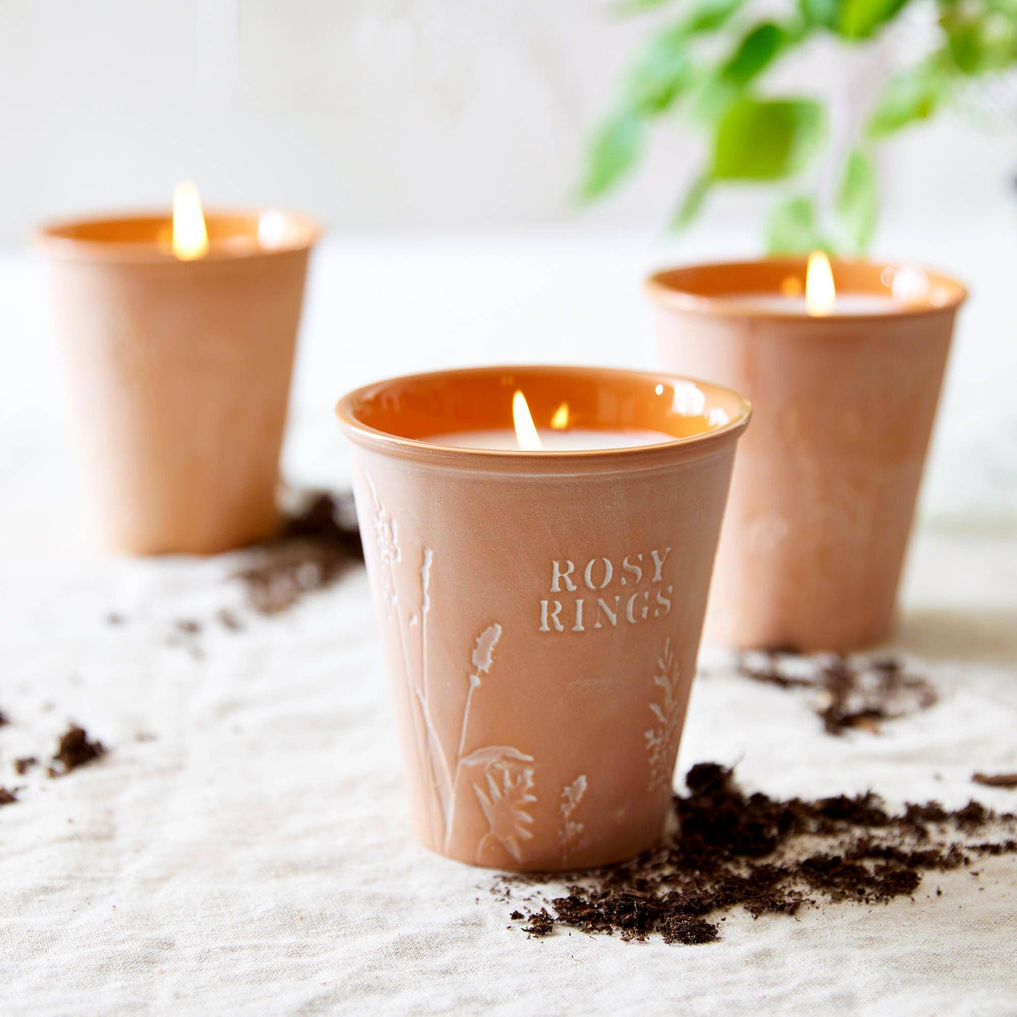 Tomato Vine Garden Pot Candle + Plantable Seed Dust Cover