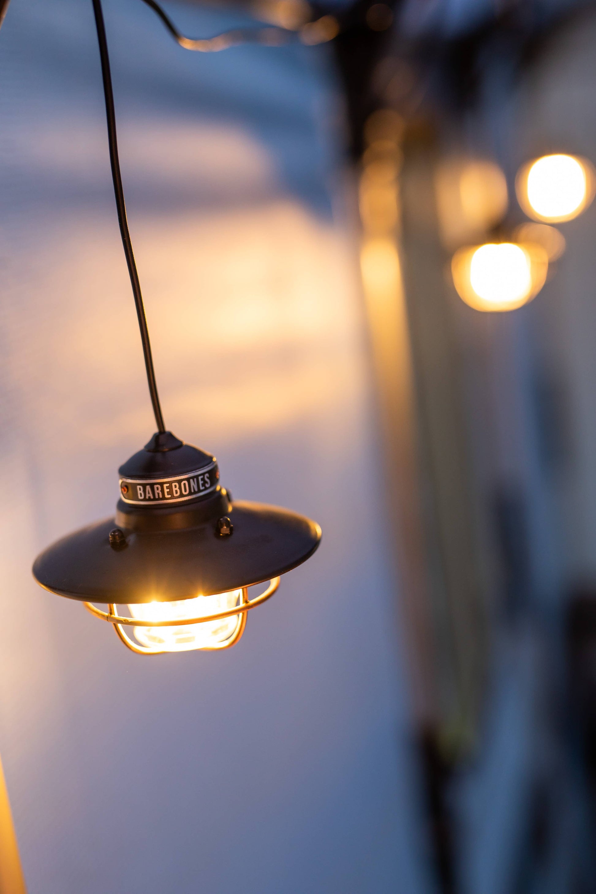 Edison Pendant Light: Antique Bronze