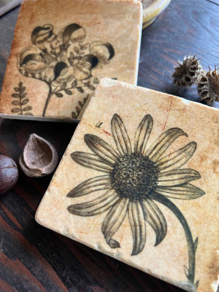 Sepia Botanicals Stone Coaster | Single