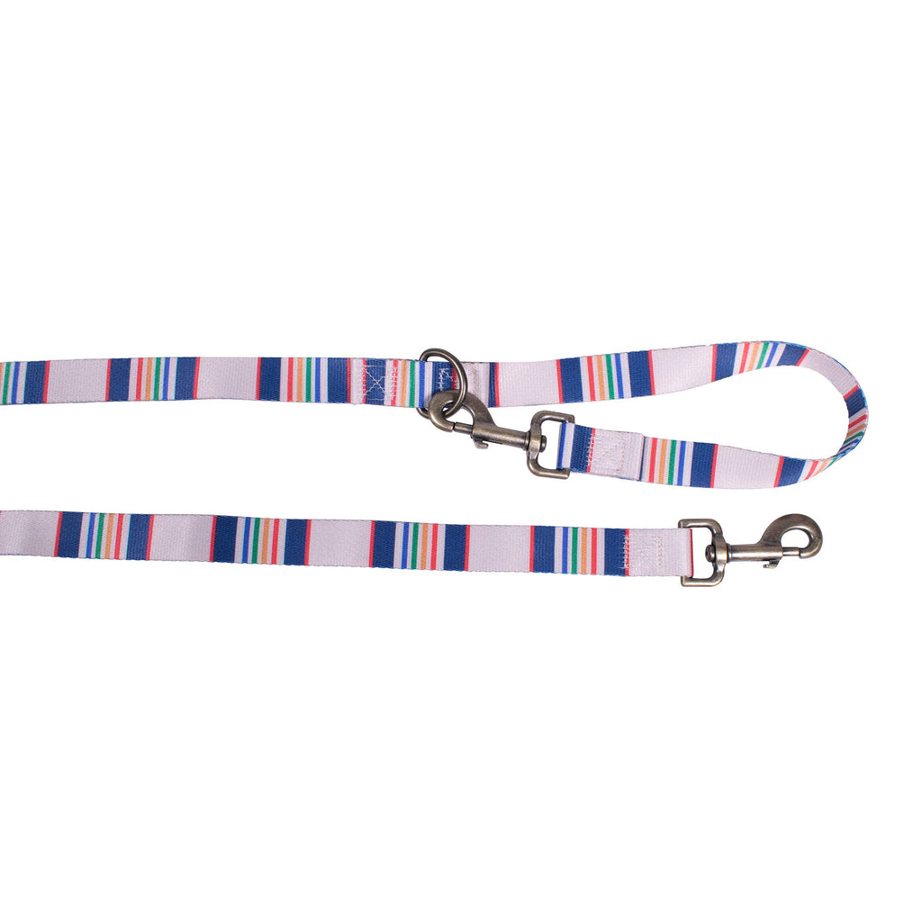 Convertible Adventure Dog Leash