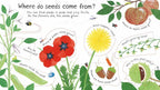 How do flowers grow?