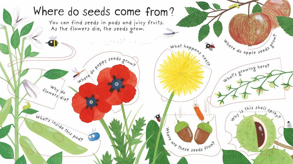 How do flowers grow?