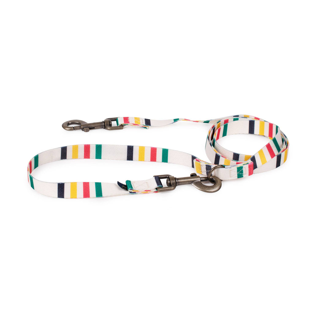 Pendleton National Park Convertible Adventure Dog Leash: Joshua Tree / Thin (3/4" wide)