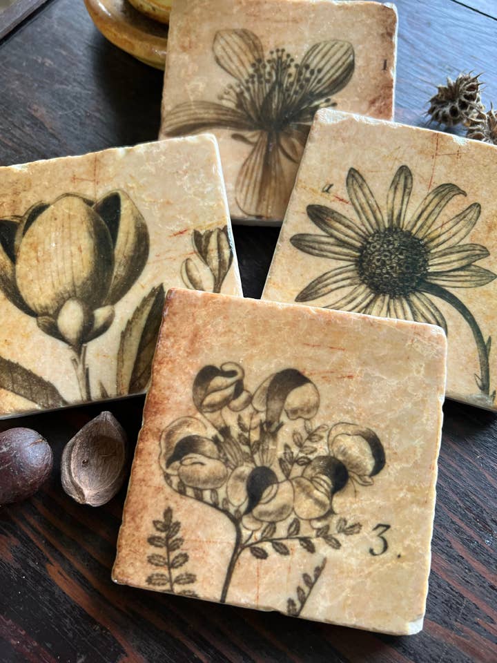 Sepia Botanicals Stone Coaster | Single