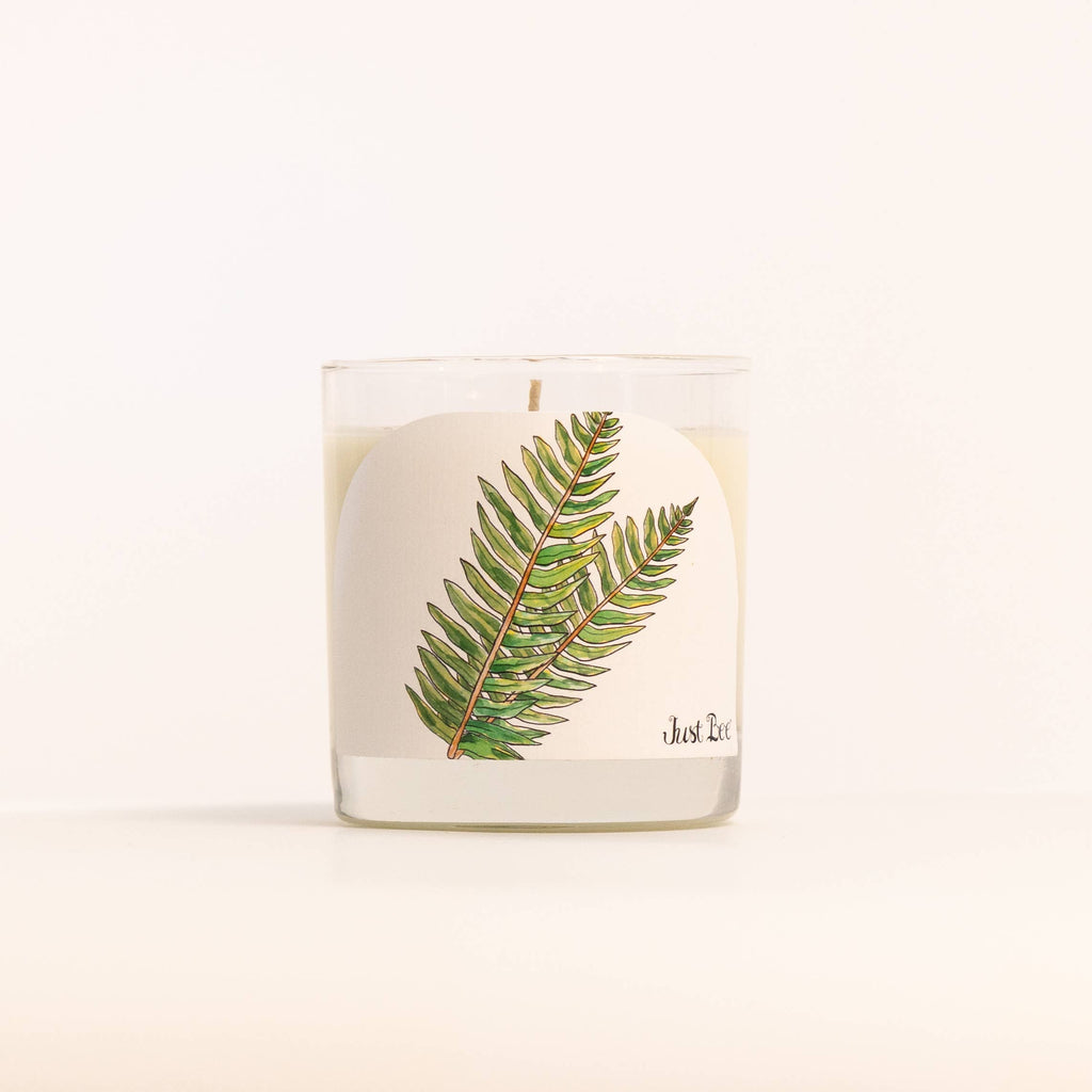 A clear glass jar candle with cream-colored wax and a white label featuring a green fern leaf illustration and the text 'Just Luce' on a clean white background.