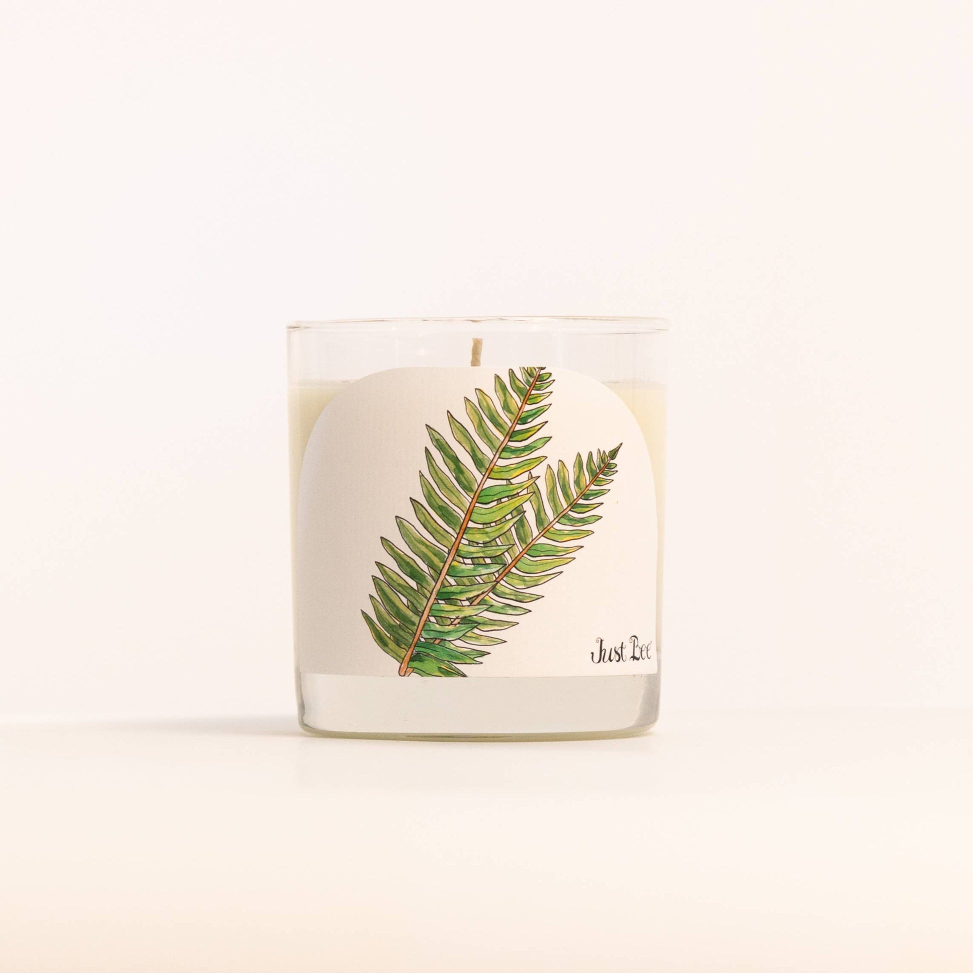 A clear glass jar candle with cream-colored wax and a white label featuring a green fern leaf illustration and the text 'Just Luce' on a clean white background.