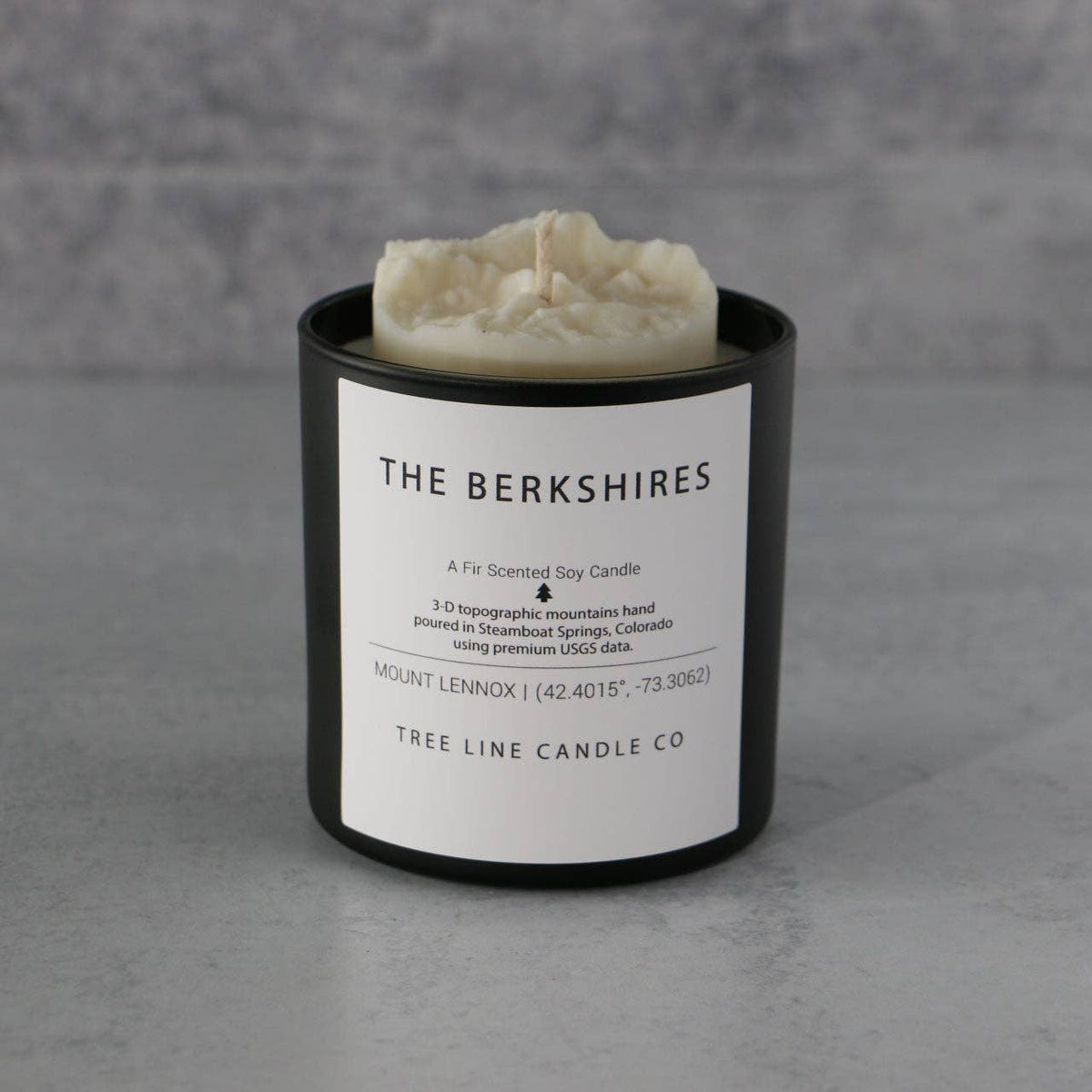 A black glass jar candle with a white wax wick and a white label reading 'THE BERKSHIRES' and 'TREE LINE CANDLE CO', photographed on a gray surface against a gray textured background.