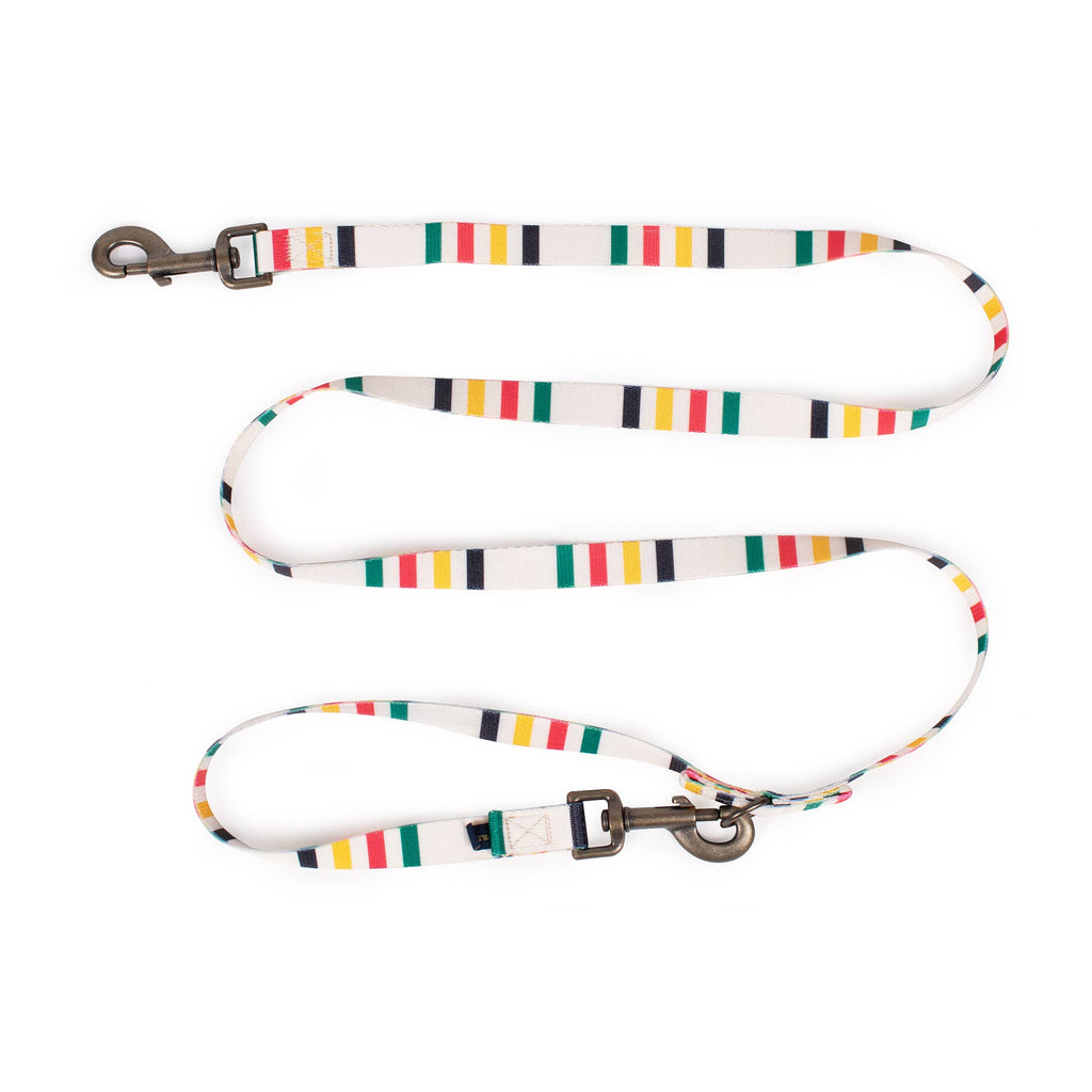 Pendleton National Park Convertible Adventure Dog Leash: Acadia / Thin (3/4" wide)