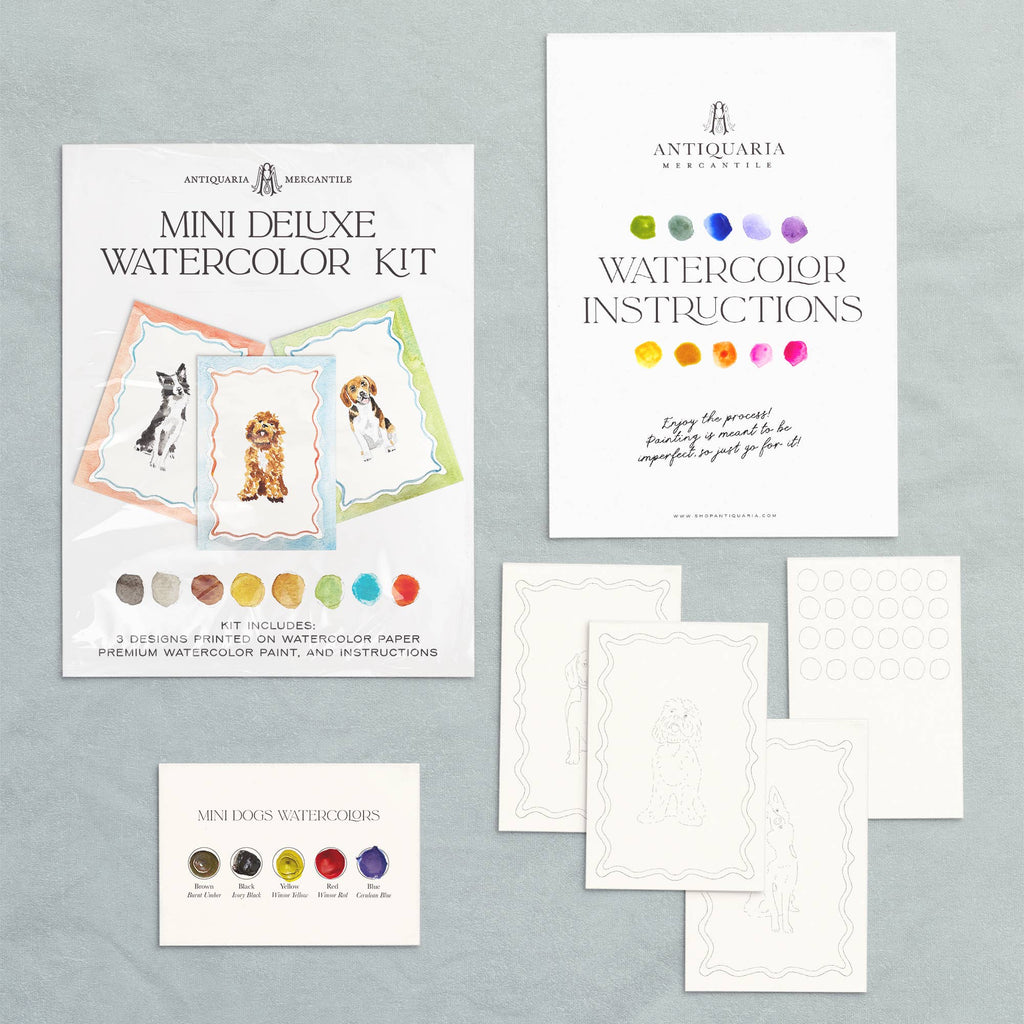 Mini deluxe watercolor kit with instructions and sample pages on a gray background