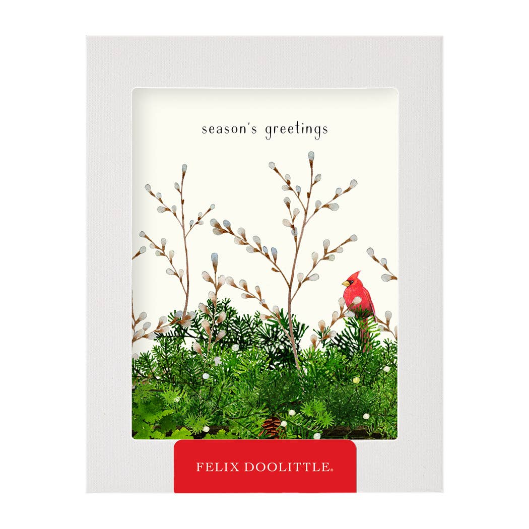 Cardinal and Evergreen - Boxed Holiday Christmas Cards