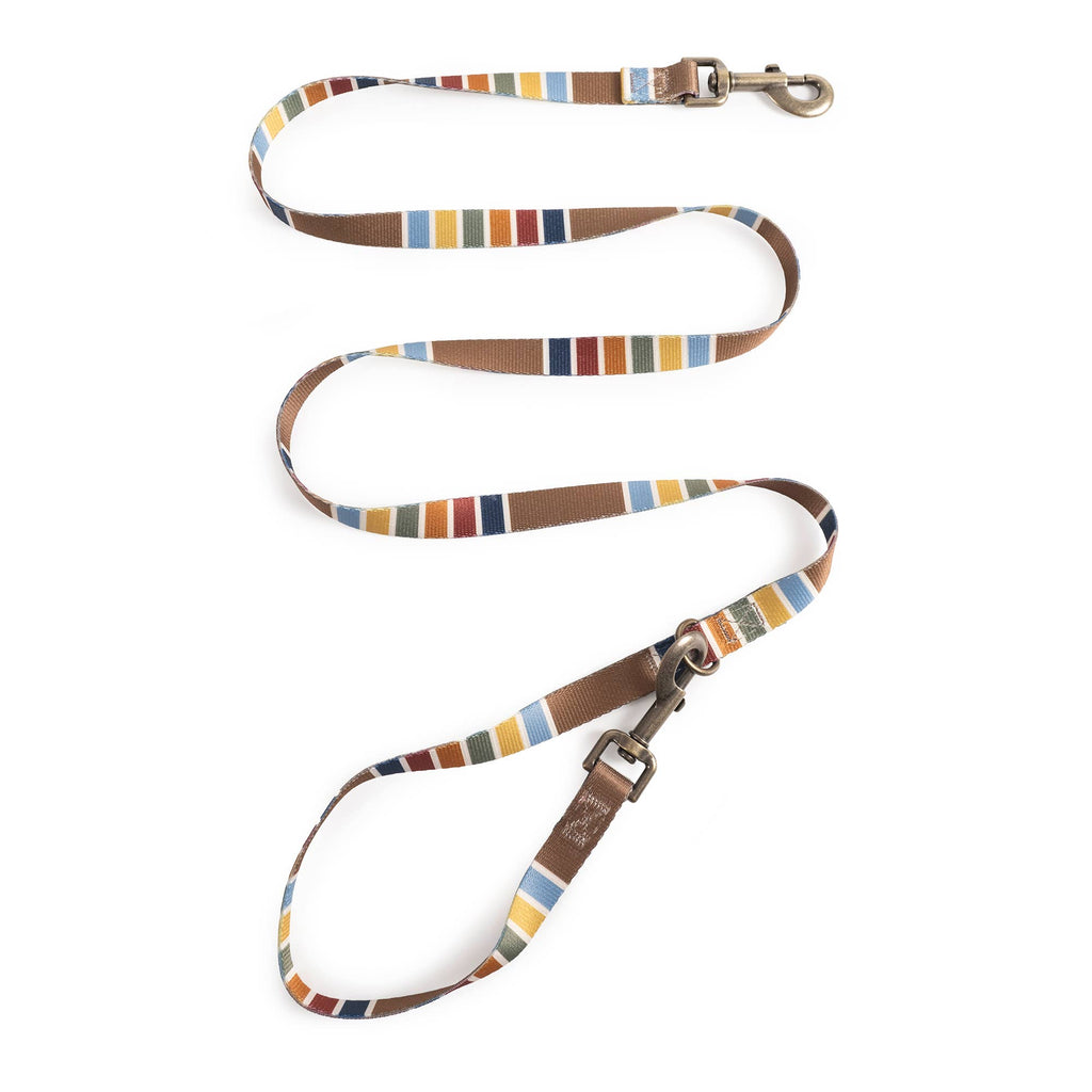Pendleton National Park Convertible Adventure Dog Leash: Acadia / Thin (3/4" wide)