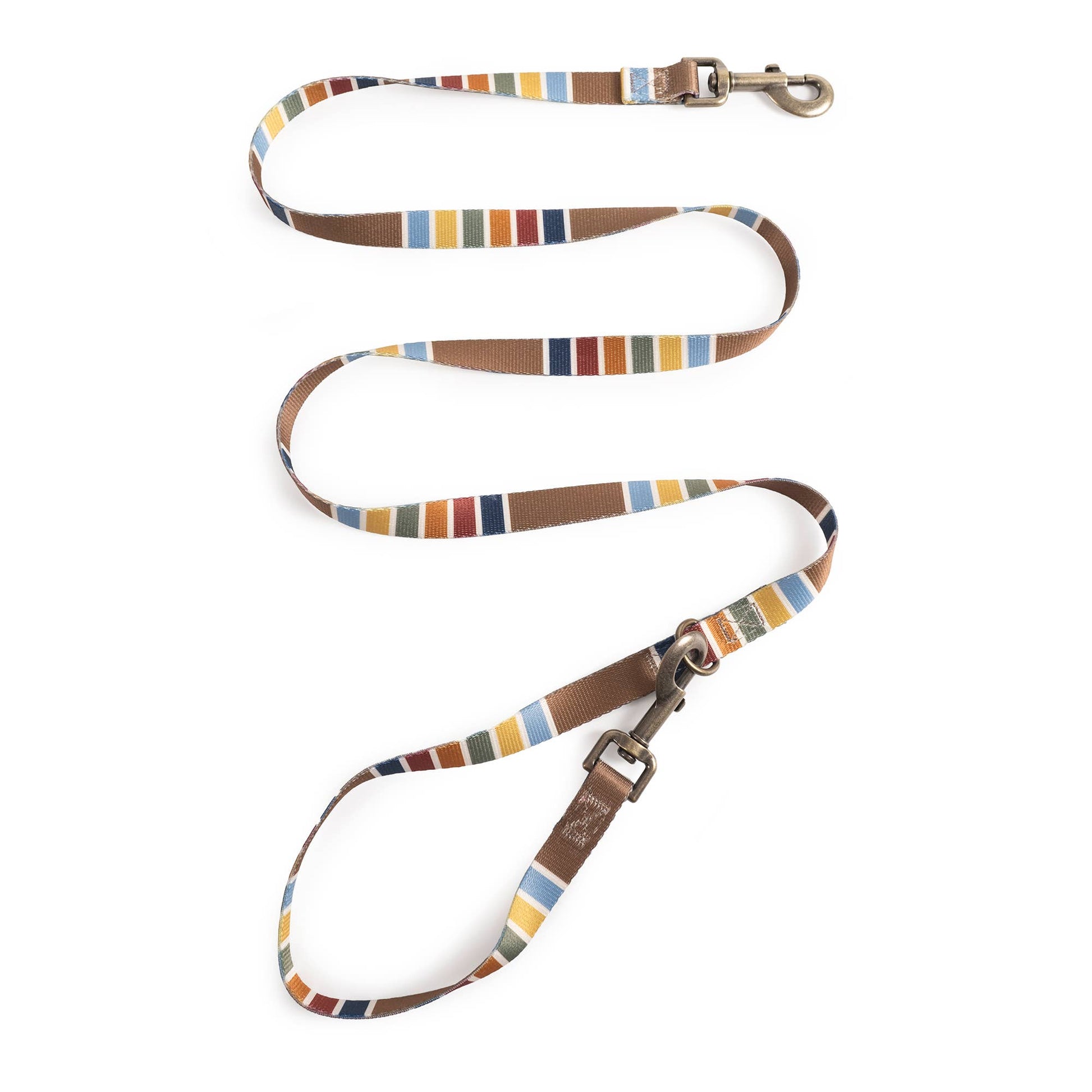 Pendleton National Park Convertible Adventure Dog Leash: Joshua Tree / Thin (3/4" wide)