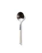 The Metal Spoon