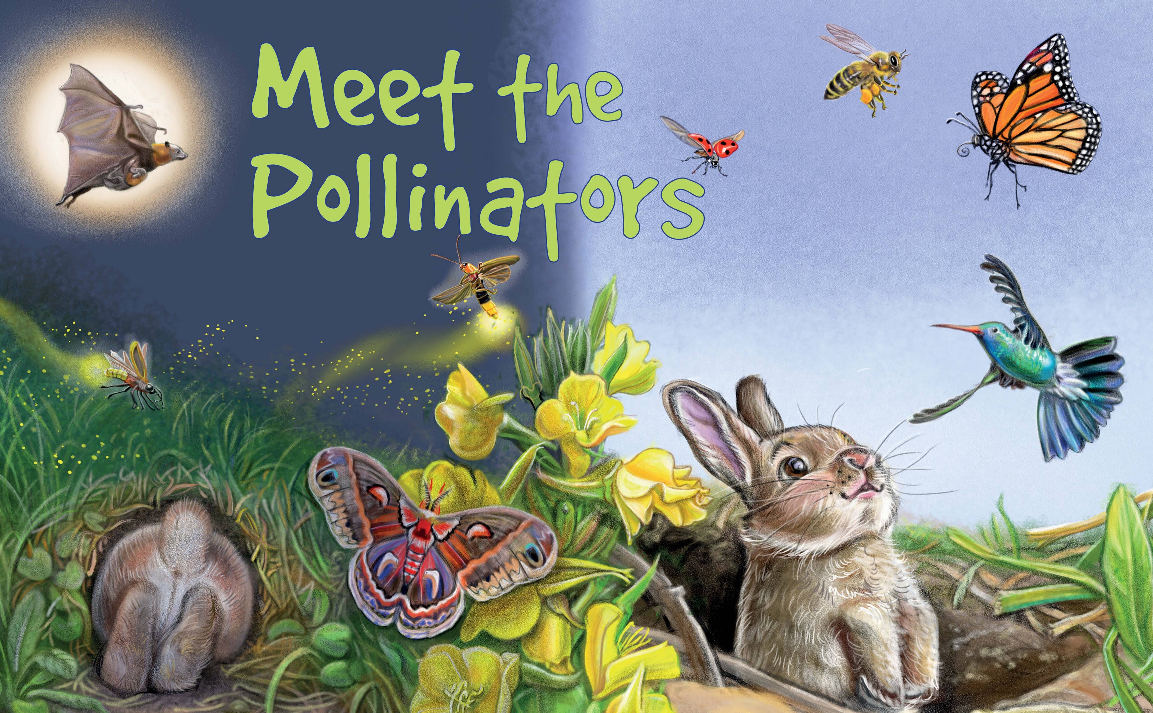 Meet the Pollinators: A Night and Day Adventure