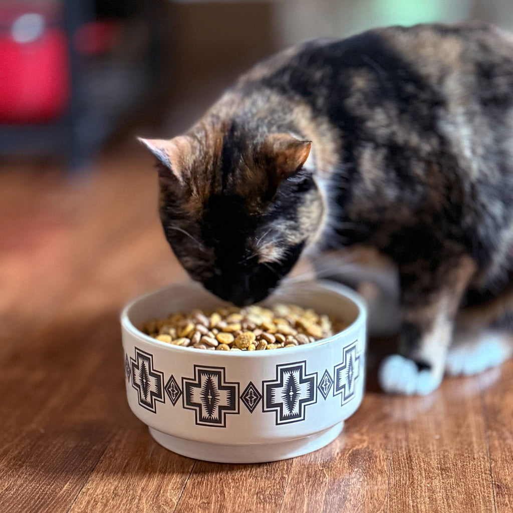 Pendleton Ceramic Food & Water Dog Bowl: Yakima Stripe / 6 inch