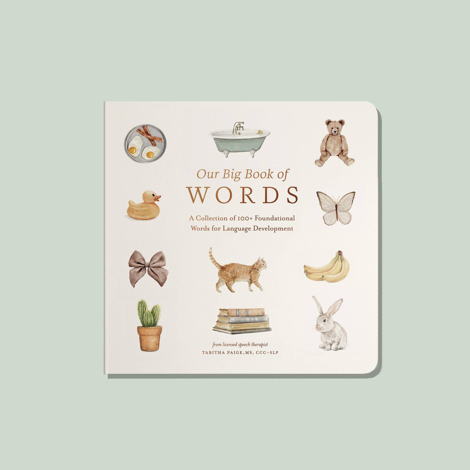 Book titled 'Our Big Book of Words' with illustrations on a light green background