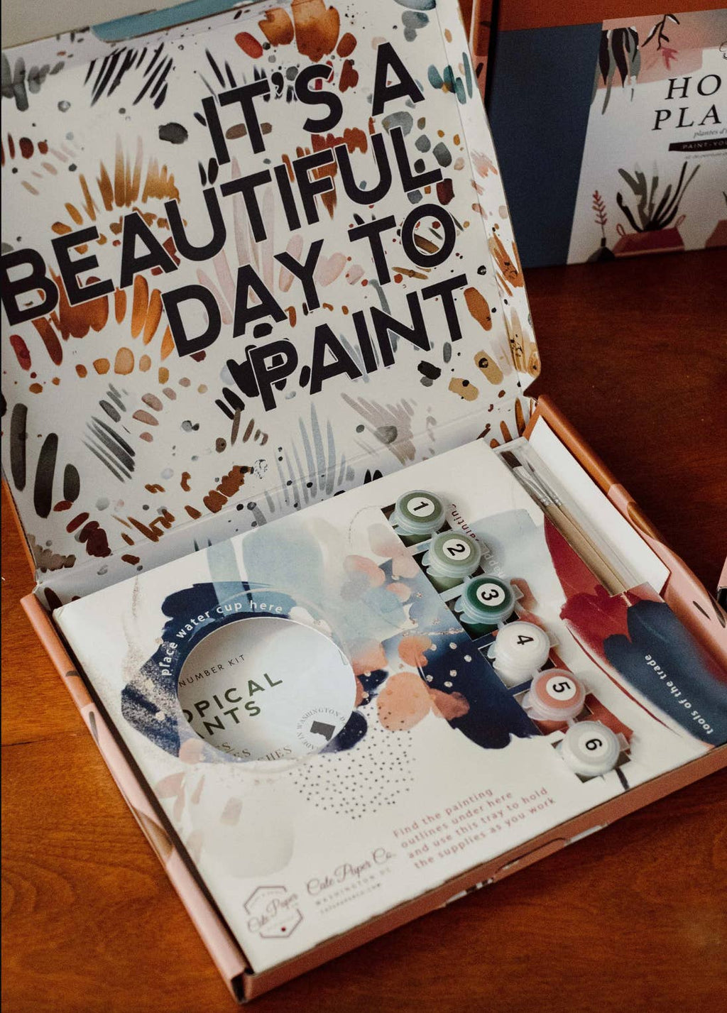 Field of Daisies – Paint-By-Number Kit
