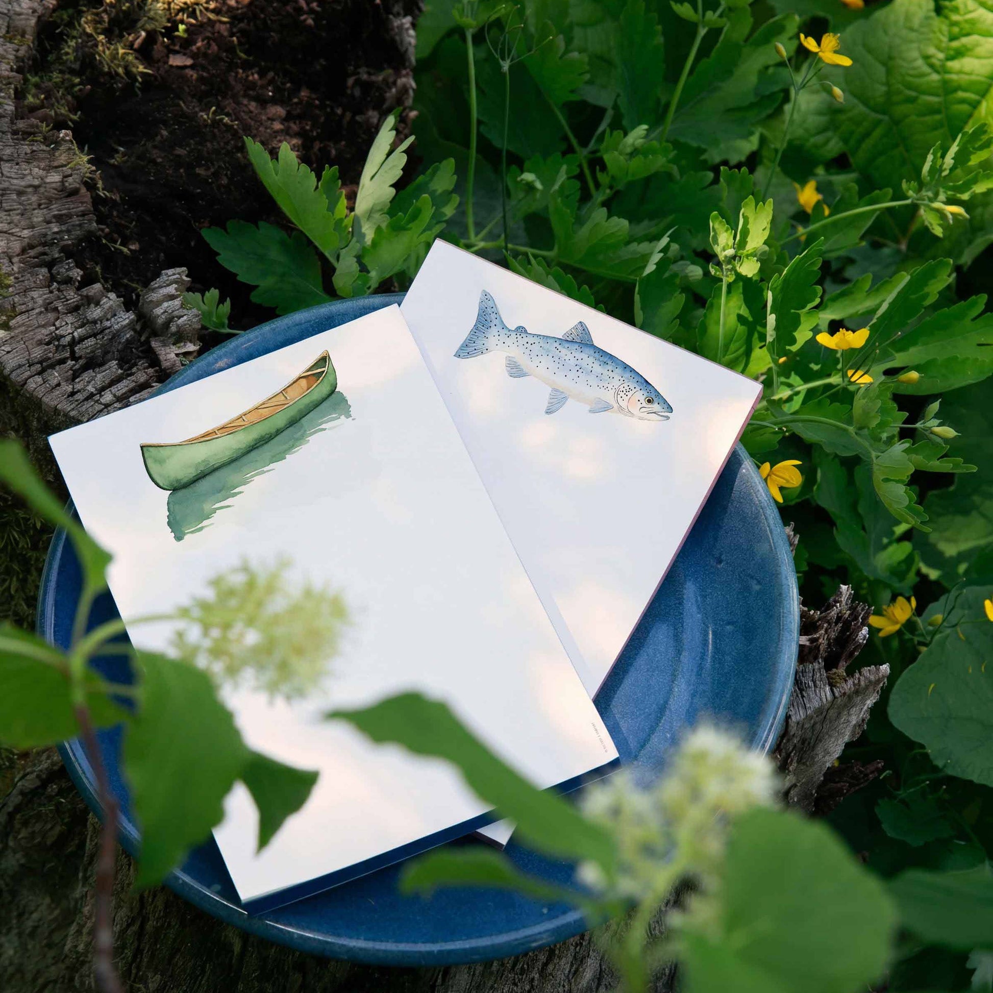 Two white art prints featuring watercolor illustrations of a green canoe and a blue-gray fish, displayed on a blue plate outdoors among green leaves and small yellow flowers.