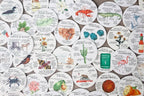 Lake Life Anatomy Coasters