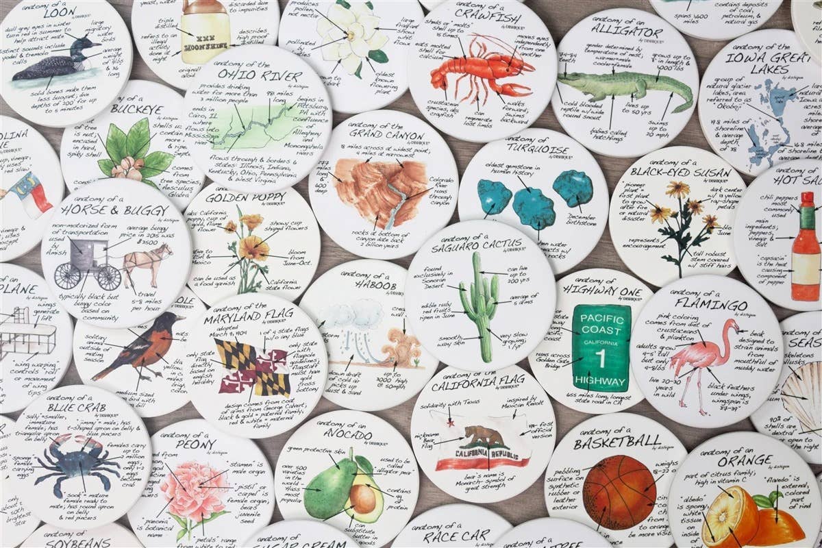 Lake Life Anatomy Coasters