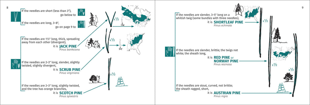 Tree Finder Eastern 3e