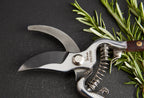 Thai Kitchen & Garden Shears
