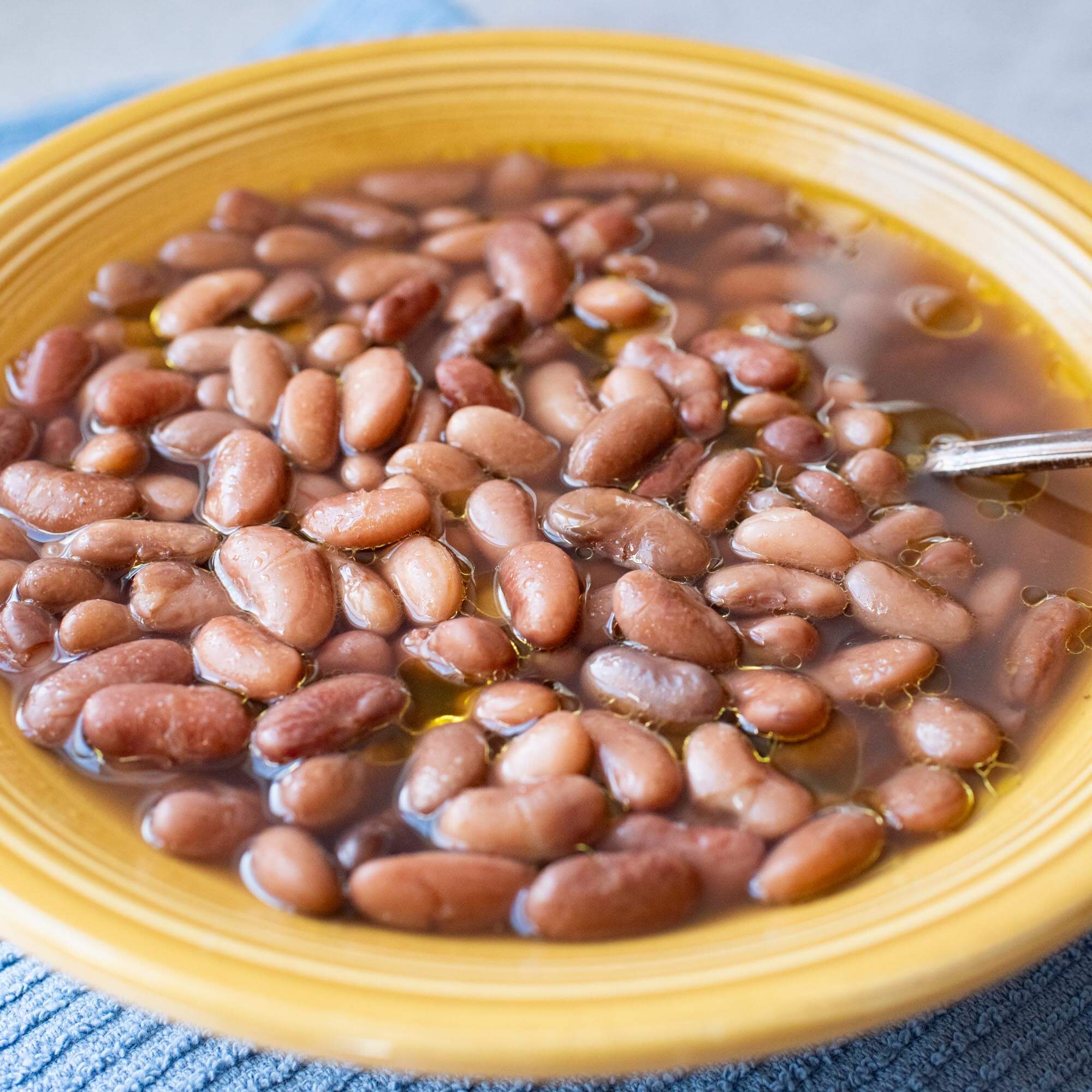 Speckled Bayo Beans