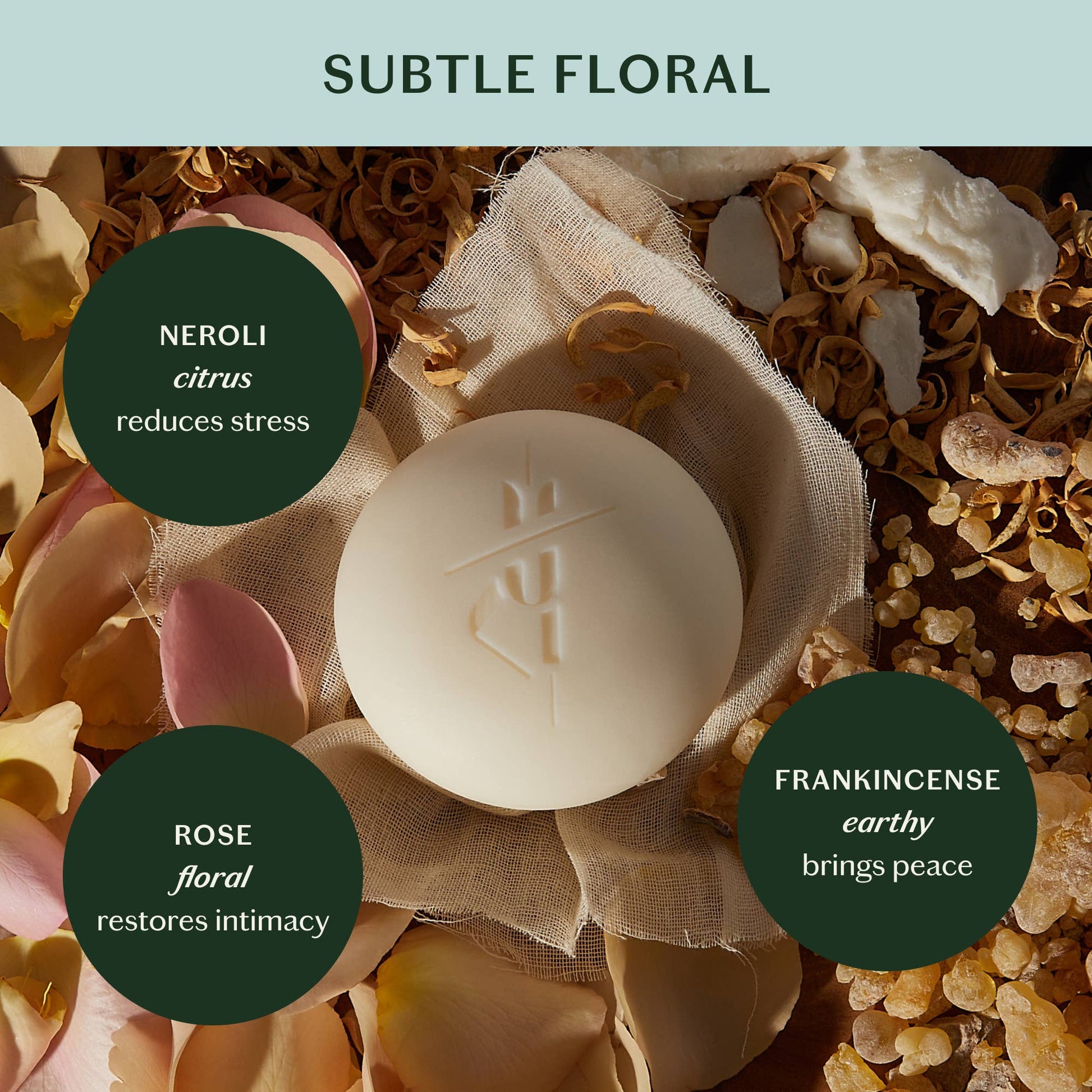 Daily Stone | Lotion Bar: Mini (1 oz)