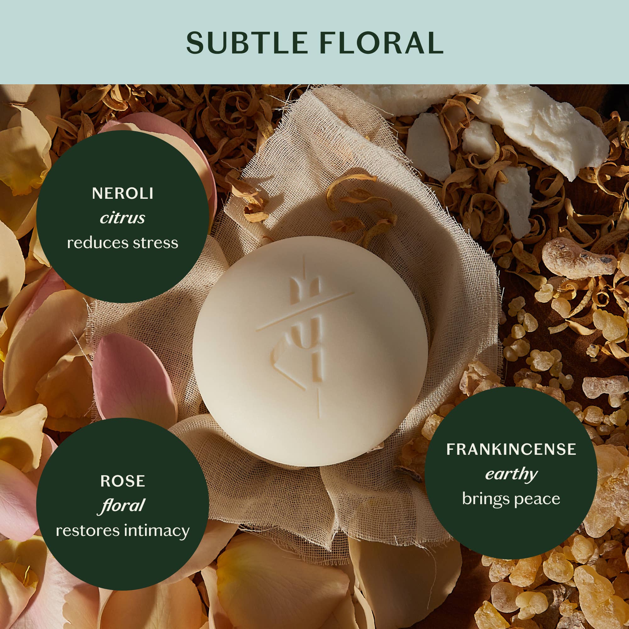 Daily Stone | Lotion Bar: Mini (1 oz)