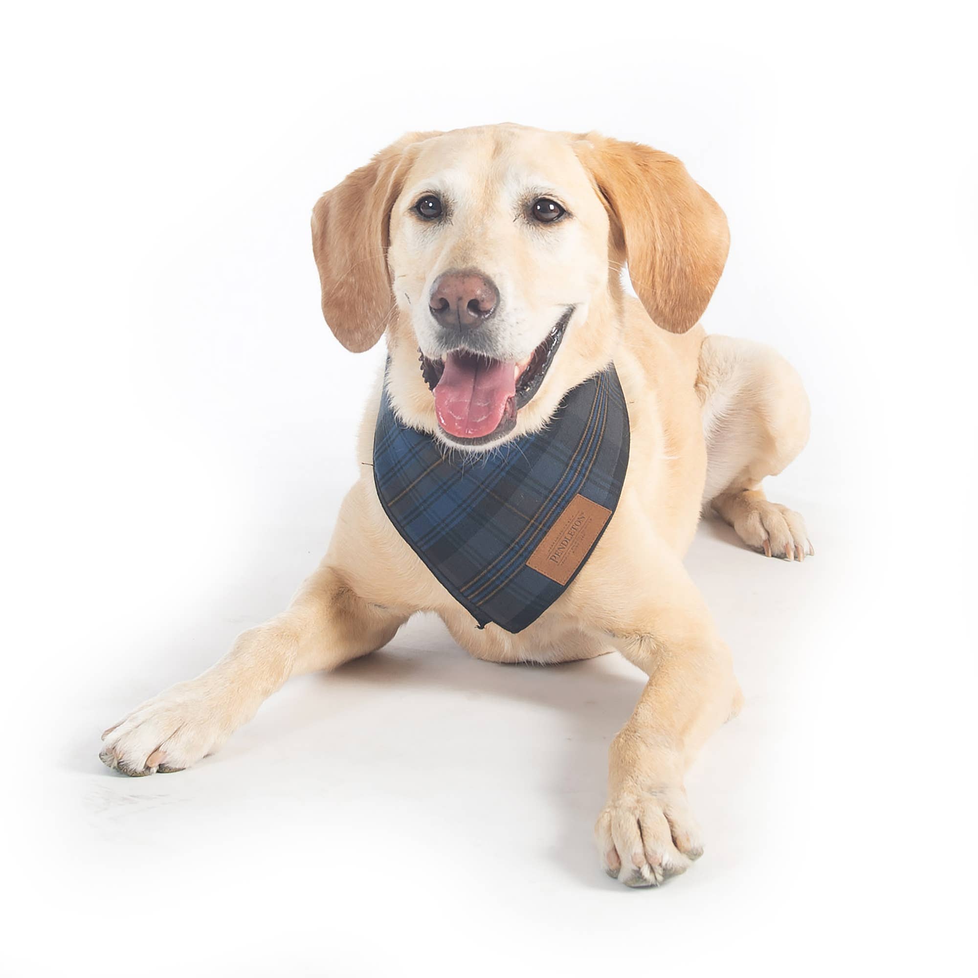 Plaid Dog Bandana