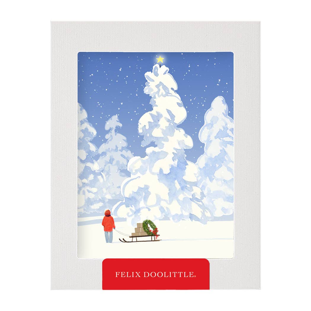 Brightest Star - Boxed Holiday Christmas Cards