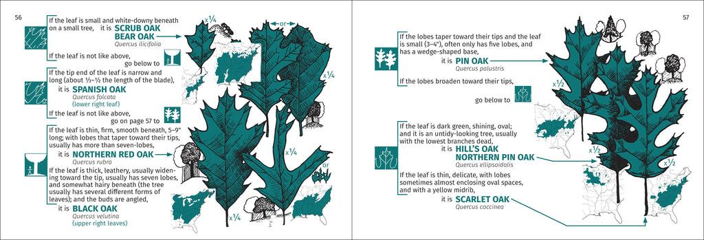 Tree Finder Eastern 3e