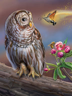 Meet the Pollinators: A Night and Day Adventure