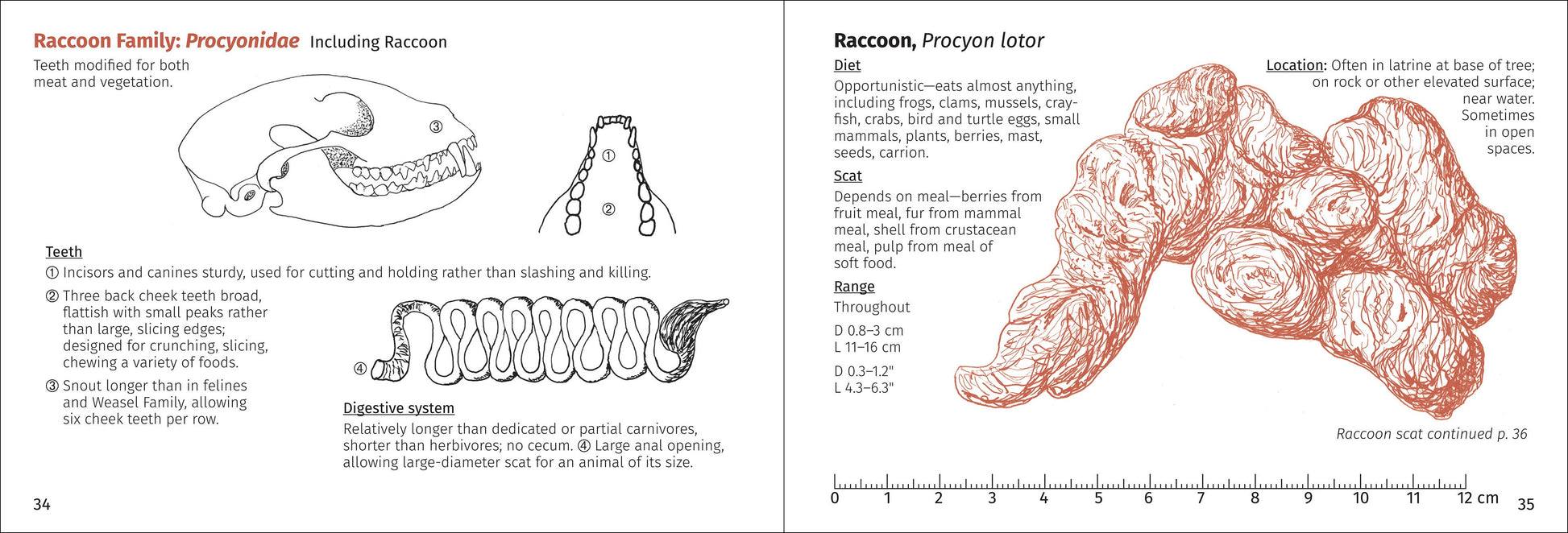 Scat Finder 2e