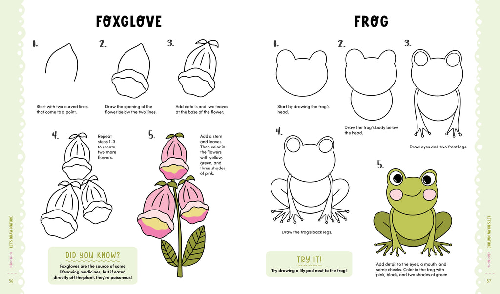 KindKids Let's Draw Nature: 100 Simple Drawing Lessons