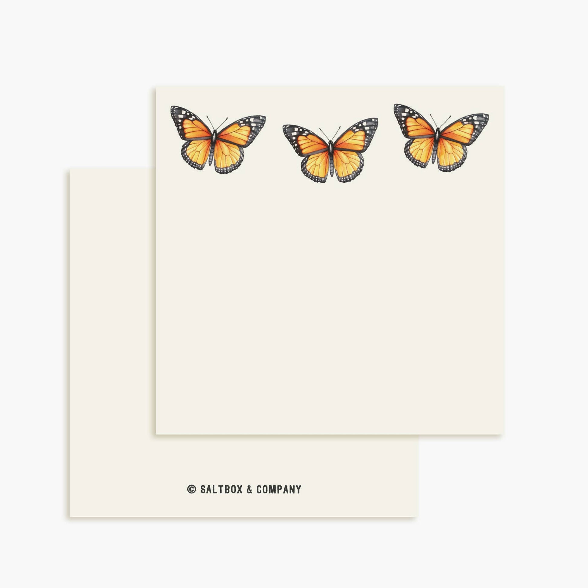 Monarch Butterflies Mini Notes | Set of 50