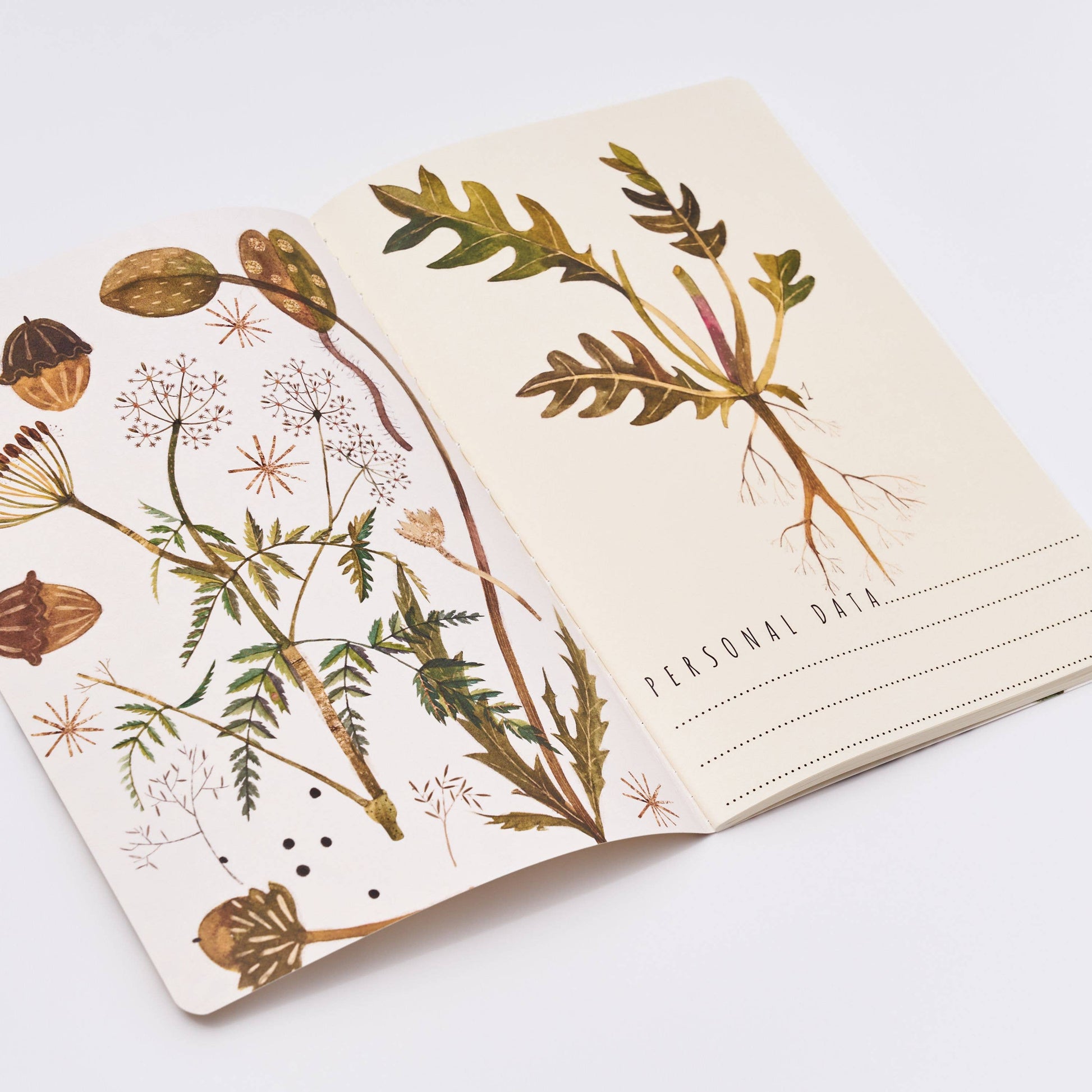 Notebook with botanical illustrations on a white background
