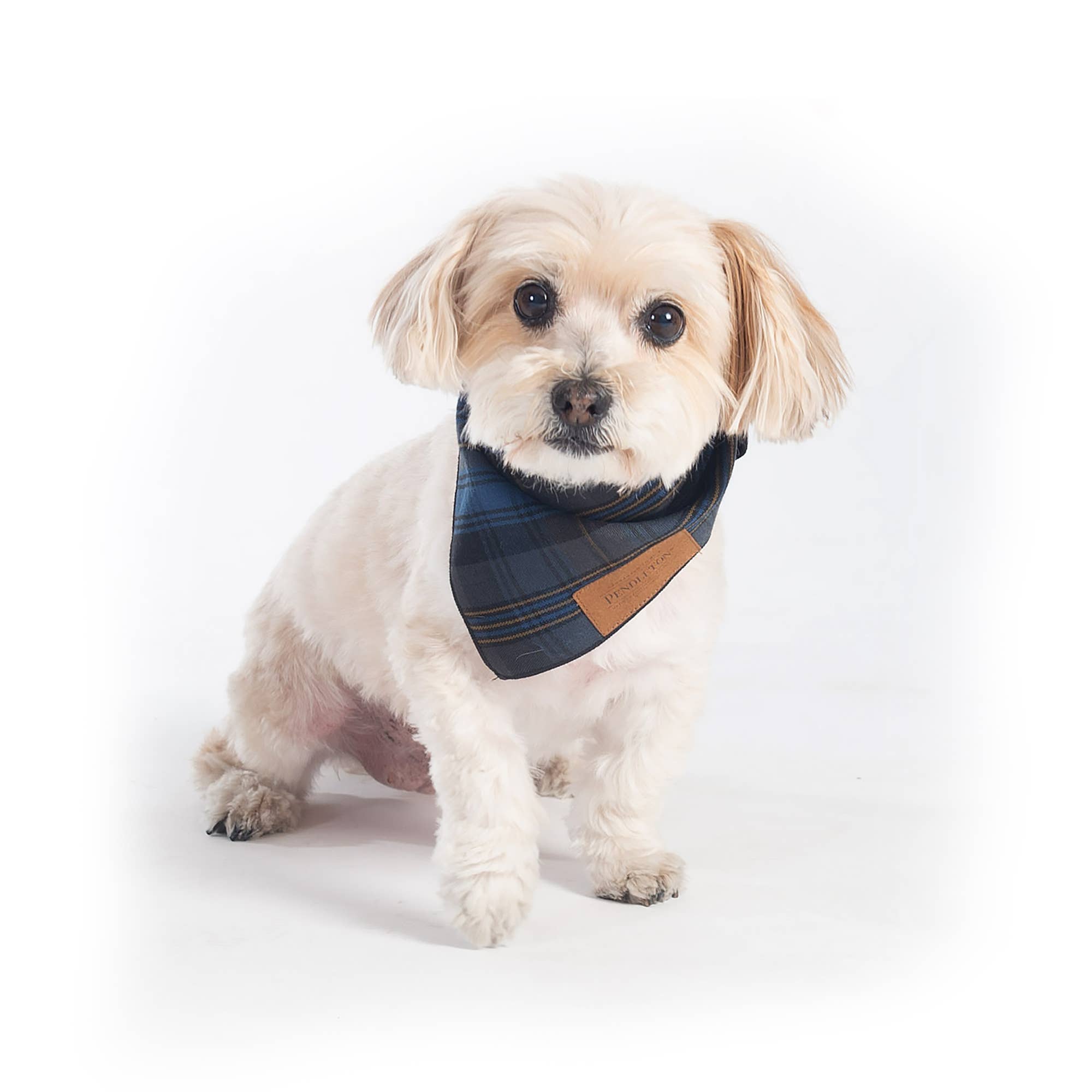 Plaid Dog Bandana