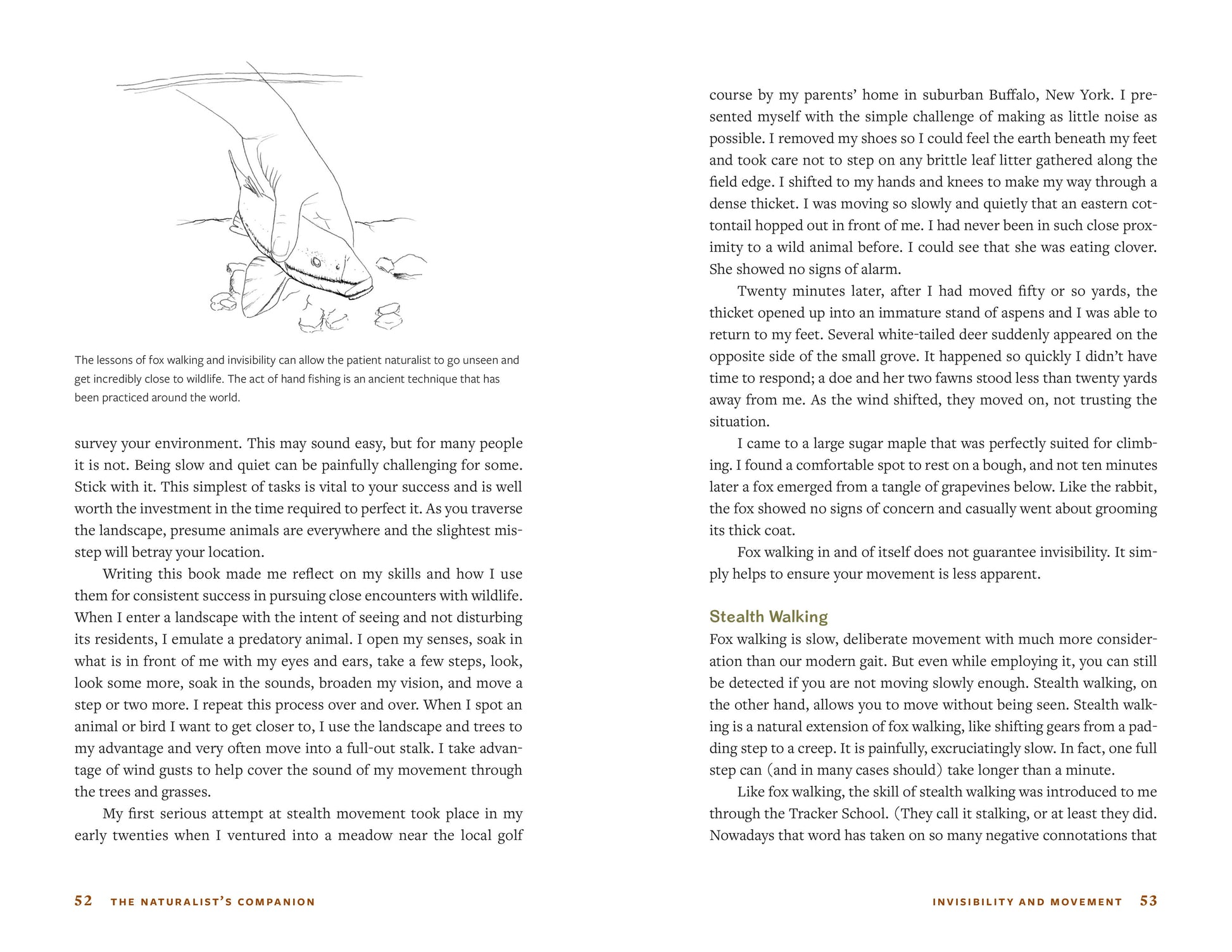 The Naturalist's Companion book
